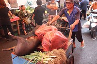 IMG_5288