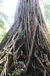 IMG_5635