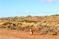 20171014_103820