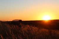 IMG_0184