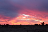 IMG_9206
