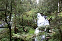 20171113_152156[1]