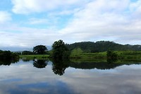 IMG_0903