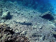IMG_0919