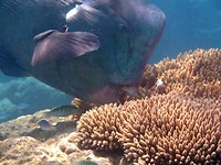 IMG_0936
