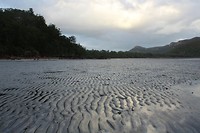 IMG_0892