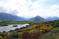 IMG_4379