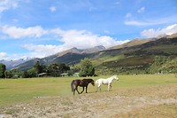 IMG_4394