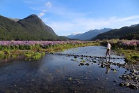 IMG_4599