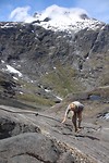 IMG_4857