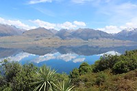 IMG_5175