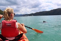IMG_5963