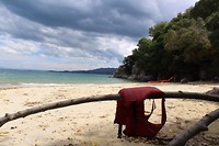 IMG_5977