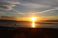IMG_6005