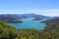IMG_6008