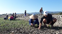 20171229_090915[1]