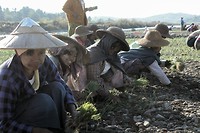 20180105_221832[1]