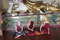 IMG_6810[1]