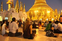 IMG_6825[1]