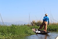 IMG_7814[1]