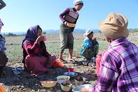 IMG_8441[1]