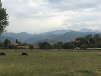 IMG_4606