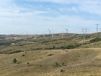 0FD54685-3198-4C83-8006-3F9598BF491C