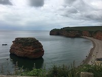 39D31117-7F2D-4467-A9ED-357C0C936567