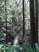 Lynn Valley, Vancouver Canada