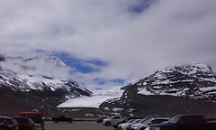 Icefield
