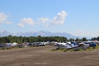 veld vol vliegtuig