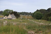 IMG_6478