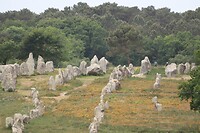 IMG_6486