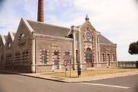 IMG_6531