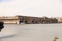 IMG_6535