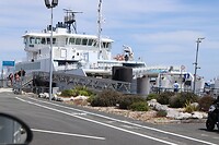 IMG_6650