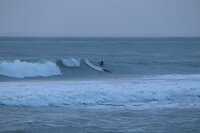 IMG_6681