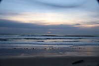 IMG_6689
