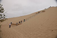 IMG_6699