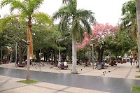Santa Cruz,  plein