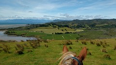 Uitzicht horse trek