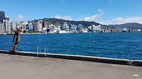 Wellington 4