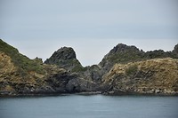 De veerboot naar Picton 4