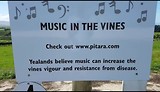 Yealands winery