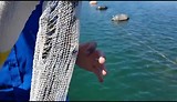 De Mosselboot