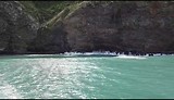 Akaroa harbour cruise