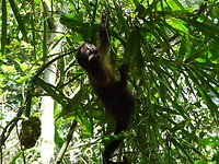 ORG_DSC06601