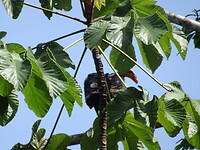 ORG_DSC06589