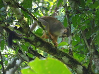 ORG_DSC06579