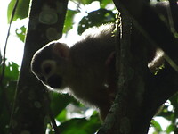 ORG_DSC06576